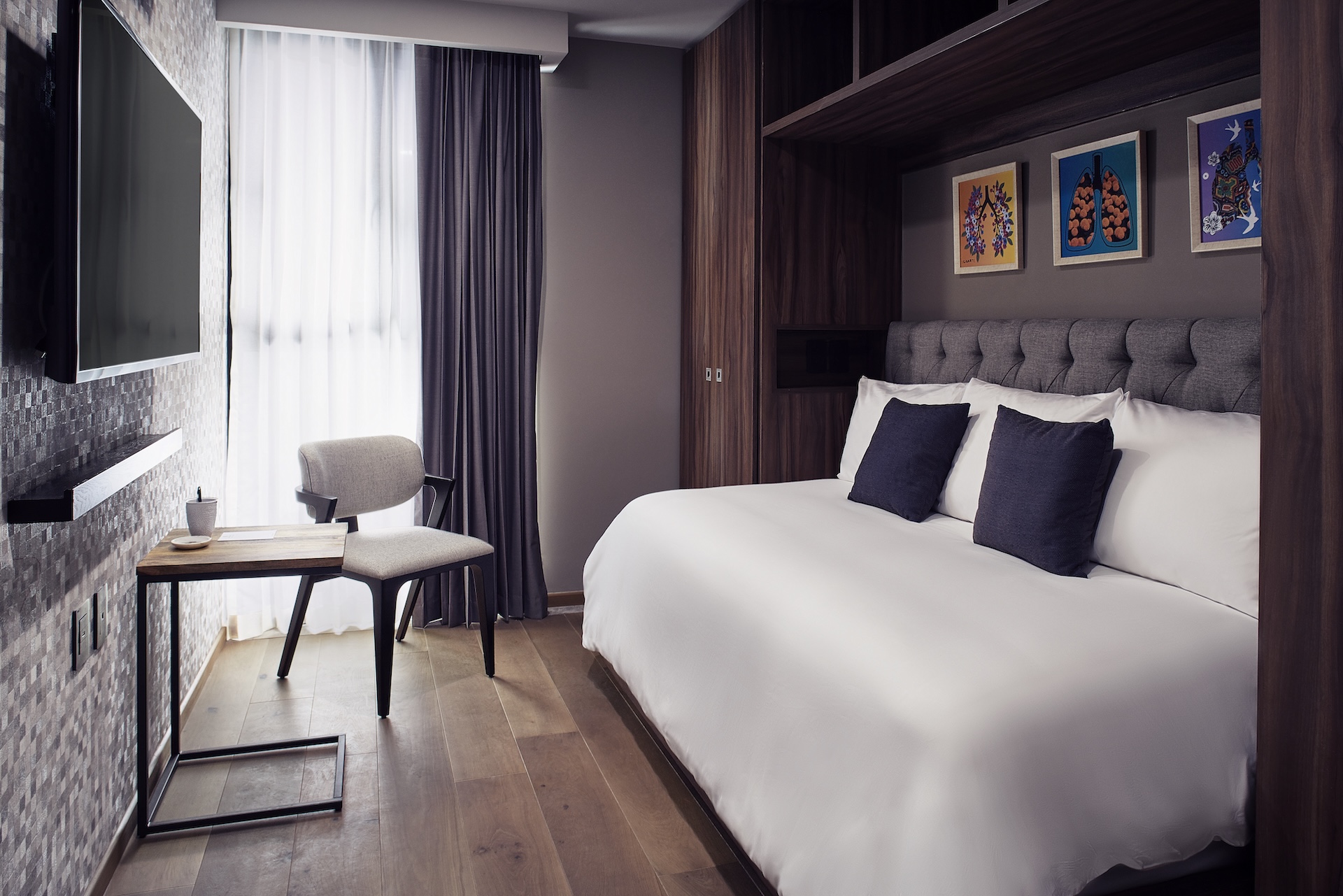 Frida_4 studio